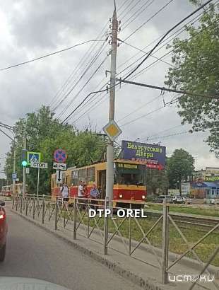 В Орле из-за упавшего дерева встали трамваи