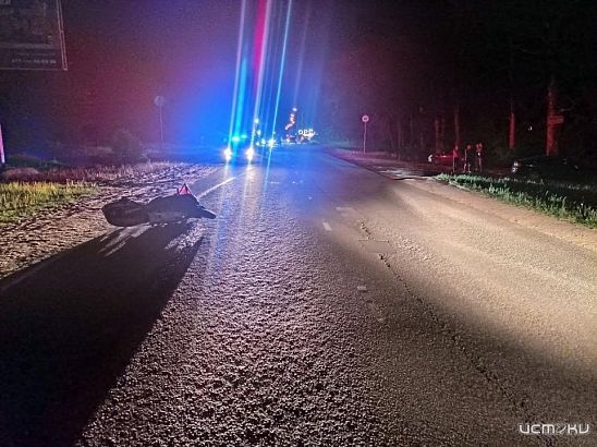 В Орле «Лада» протаранила мотоциклиста