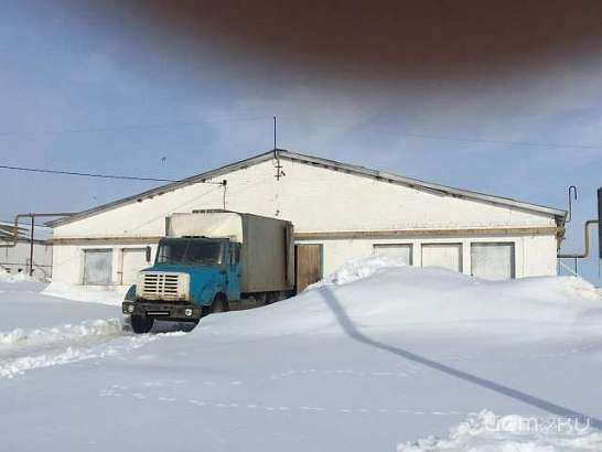 На Орловщине грузовик «ЗИЛ» наехал на человека