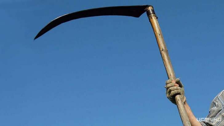 На десять лет в колонию строгого режима отправится амчанин, зарубивший косой приятеля