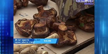 Хорошо забытое старое 29.06.2025