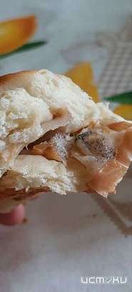 В Орле в мкр Зареченский в "Шаурме" торгуют булочками с плесенью