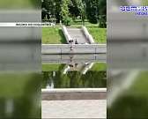 Очевидцы засняли женщину, которая едва не сбросила ребенка в Оку, а гипермаркеты «Линия» могут купить петербуржцы. Новости за 90 секунд