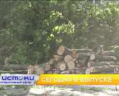 Спил дерева привёл к конфликту жильцов дома на ул. Ломоносова, в садовом центре на Грибоедова, 1 освоили уникальную систему выращивания цветов, а белг...