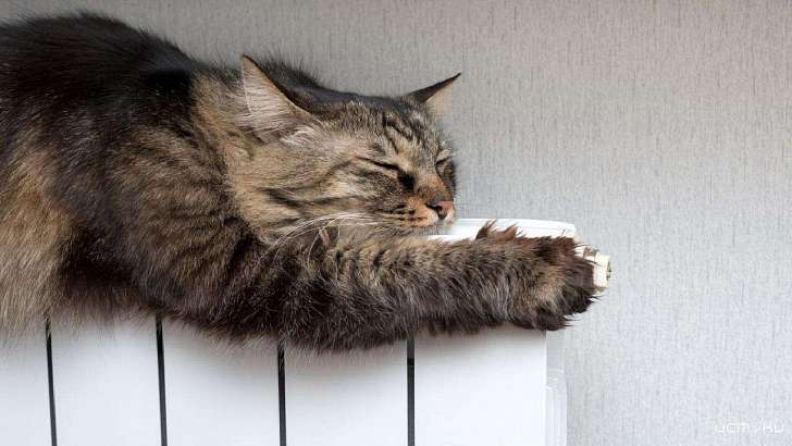 На Орловщине стартовал отопительный сезон: когда потеплеет в квартирах