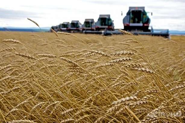 Компания "Эксима-Агро" не выполнила предписание Россельхознадзора