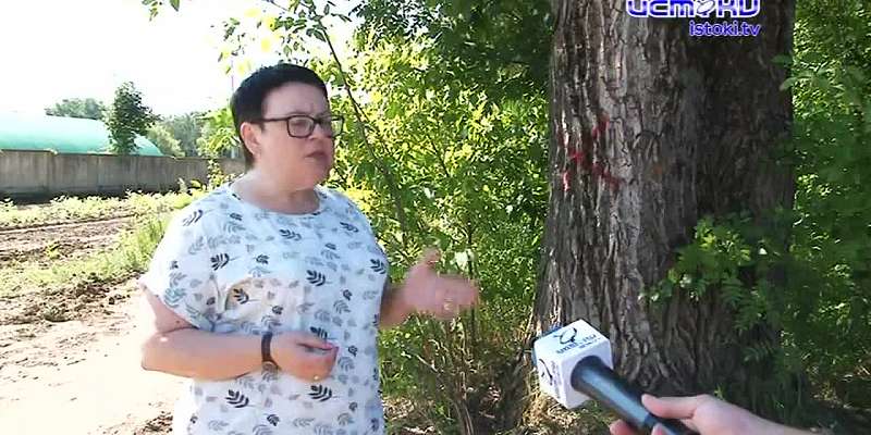 Будущее парка Победы: почему орловчане забраковали концепцию благоустройства