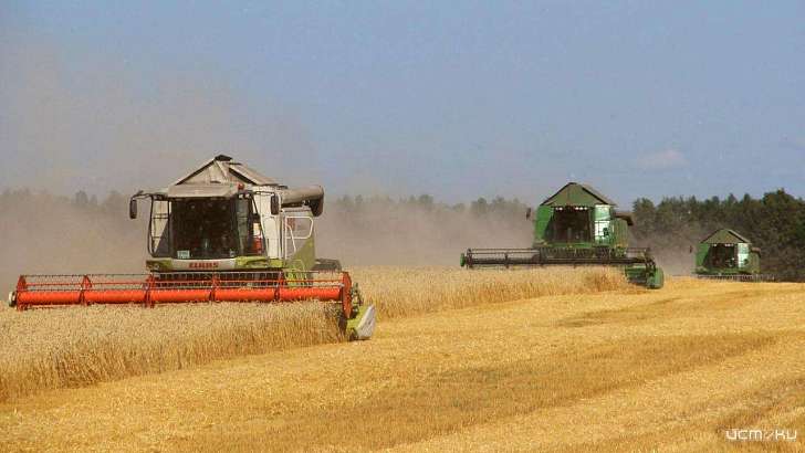 Побили рекорд: на Орловщине собрано 4 млн тонн зерна