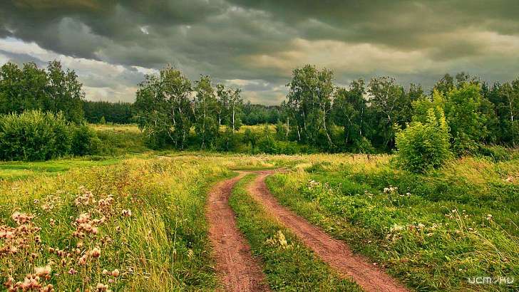Сегодня в Орле будет пасмурно, но тепло