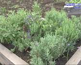 Режим самоизоляции пошел на пользу: как обновился музей-заповедник «Спасское-Лутовиново»