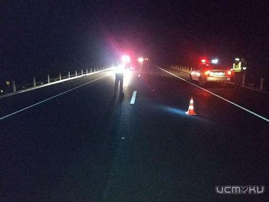 На Орловщине ночью микроавтобус сбил человека