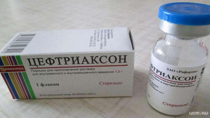 В «Орелфармации» прояснили ситуацию с острой нехваткой антибиотиков