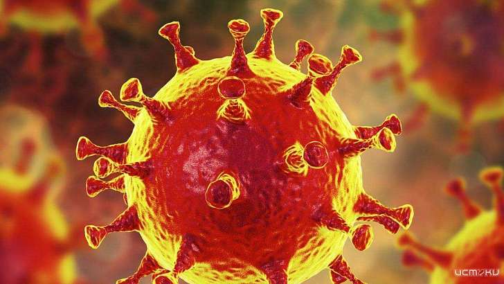 В Орловской области выявлено еще 7 случаев заболевания коронавирусом