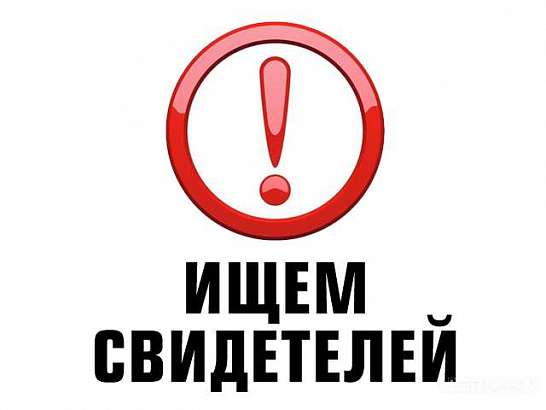 Оттащили во двор и бросили умирать: в Орле ищут очевидцев наезда на пешехода