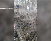 Орловчане запечатлели незаконный слив канализации на опушку Медведевского леса