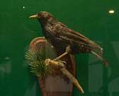 Забытая природа Орловской области