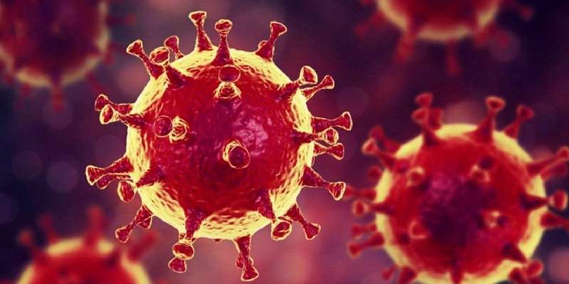 Орловские депутаты предложили учредить госнаграду за борьбу с COVID-19