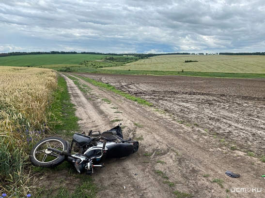 В одной из деревень Орловщины на ходу опрокинулся мопедист В одной из деревень Орловщины на ходу опрокинулся мопедист