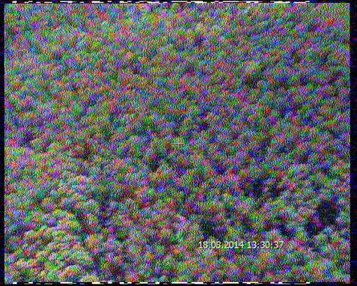 Сотрудники МЧС провели авиаразведку лесных массивов Орловской области