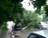 Последствия урагана в Орле