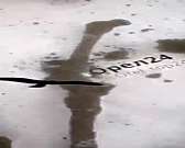 В Болхове рядом со школой во время строительных работ нашли кости 20 человек