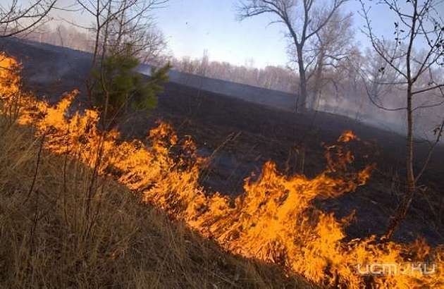 В Орловской области объявлен пожароопасный период
