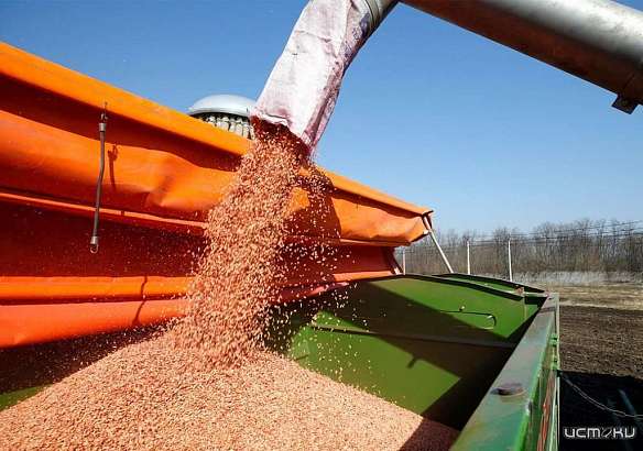 Погрузка зерна на железной дороге в Орловской области увеличилась почти на 50% в январе – мае 