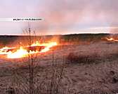 Цвести и пахнуть город в этом году не будет. На озеленение города выделено в два раза меньше средств