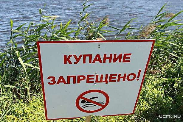 В трех водоемах Орловщины не советует купаться Роспотребнадзор В трех водоемах Орловщины не советует купаться Роспотребнадзор