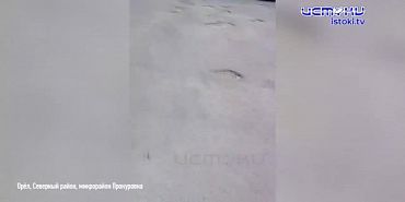 Экспресс - новости: жильцы дома на Комсомольской в Орле хотят, но не могут оплатить за тепло и воду