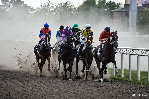 На Орловском ипподроме пройдут заезды на призы губернатора (6+)