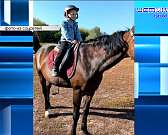 В Орле на грани гибели 162-летний дуб, общегородской субботник намечен на 21 октября, а актеру театра «Свободное пространство» Сергею Козлову вручили ...