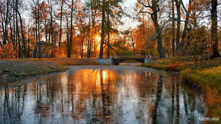 Какая погода ждет орловчан 27 ноября