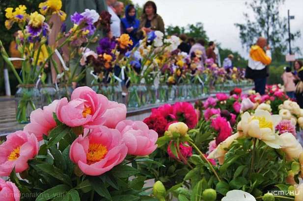 В Орле прошёл цветочный фестиваль