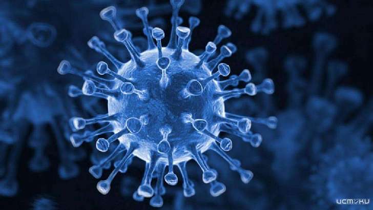 На Орловщине половина умерших пациентов с COVID-19 страдала ожирением