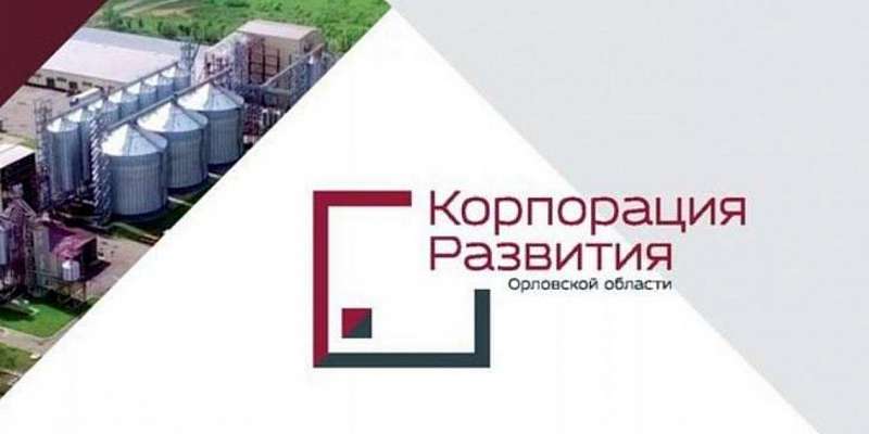 Одни убытки: корпорация развития Орловщины тратила до 55 % средств на гендиректора