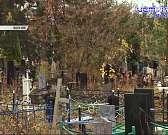 Провалившиеся тротуары в Лужках, плохое состояние Грузовой улицы, рост смертности в разы — об этом и не только в следующей рубрике