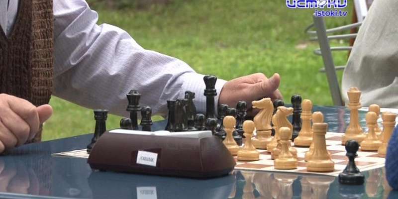 Поединки под открытым небом: Спасское принимало I Тургеневский шахматный турнир