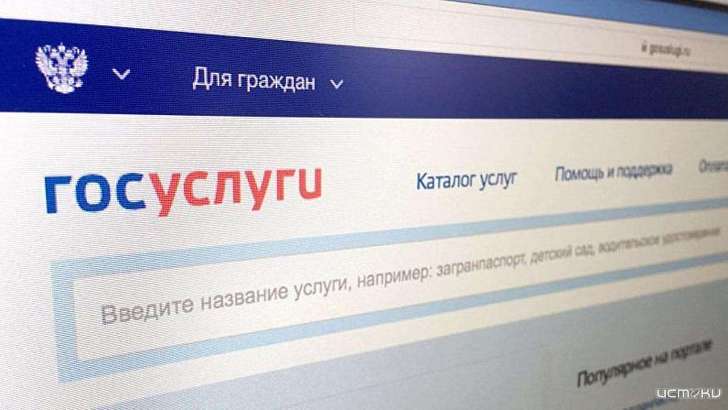 Орловчане могут подать налоговую декларацию через портал госуслуг