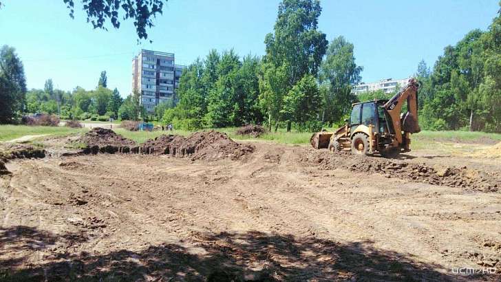 В Орле за все лето не сделали и половины запланированного в Медведевском лесу