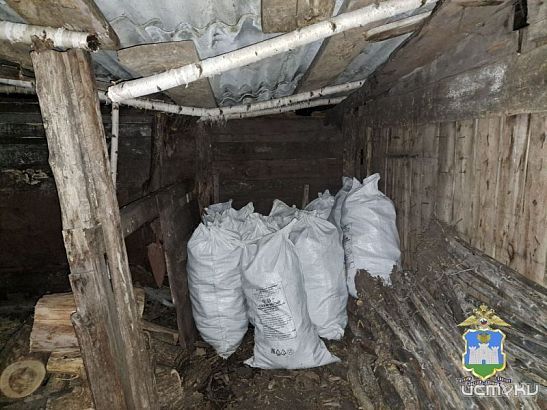 Почти четыре тонны кукурузы украл житель Орловской области