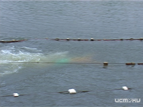 В воскресенье пройдет IV Открытый Чемпионат по зимнему плаванию 