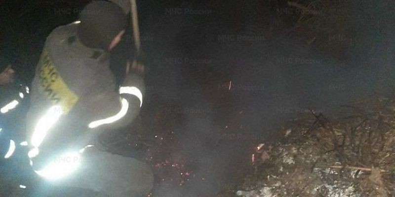 В Орле зафиксирован первый в этом году случай горения сухой травы