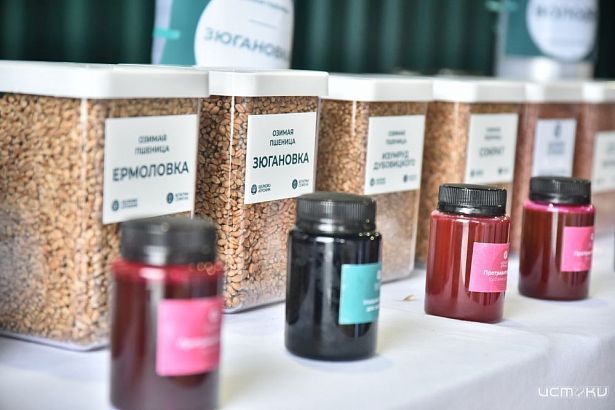 В Орловской области урожайность озимой пшеницы бьет рекорды