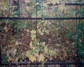 Орловский детсад пытались обворовать во время тихого часа, а в городе станет на одну улицу меньше. Новости за 90 секунд