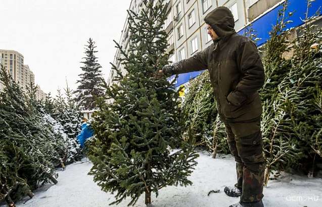 В Орле ёлочные базары откроются по 12-ти адресам