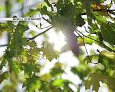 Новости за 90 секунд: «Сухой закон» в Орловской области продлен, Рособрнадзор запретил прием студентов в Орловский аграрный университет, Красному мост...