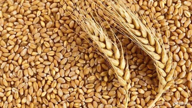 На Орловщине попались на краже двое высокопоставленных полицейских 