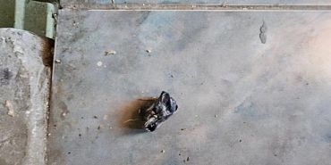 Орловчанин задержан с поличным при получении наркотика из тайника