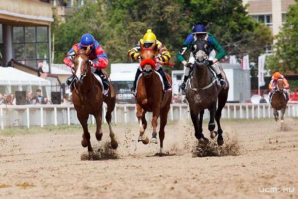 В эти выходные на орловском ипподроме откроют беговой сезон